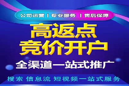 百度SEM竞价案例：揭秘高效广告投放策略